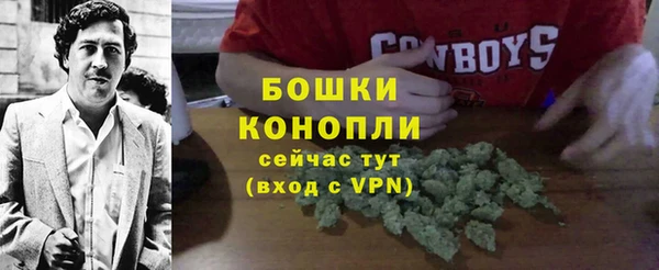 крисы Баксан