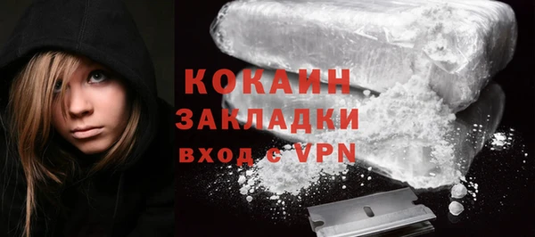 крисы Баксан