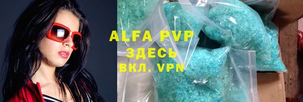 прущие грибы Балабаново