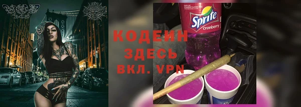 крисы Баксан