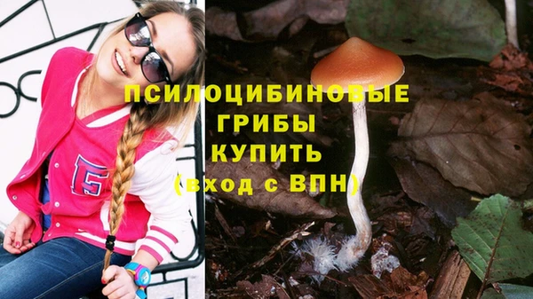 крисы Баксан
