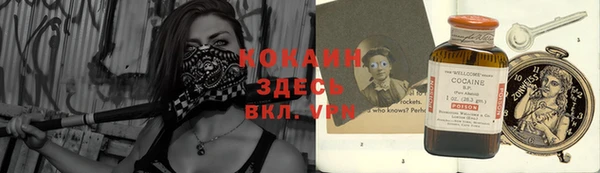 прущие грибы Балабаново