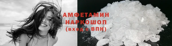 крисы Баксан