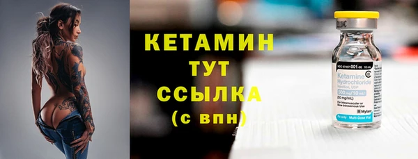крисы Баксан