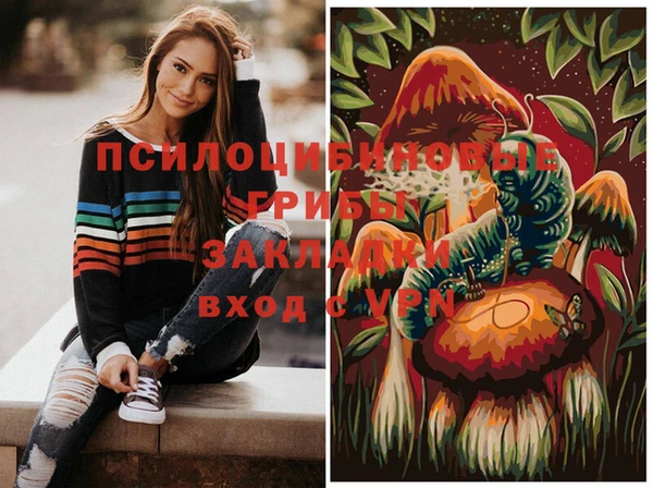 прущие грибы Балабаново