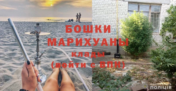 прущие грибы Балабаново