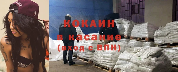 прущие грибы Балабаново