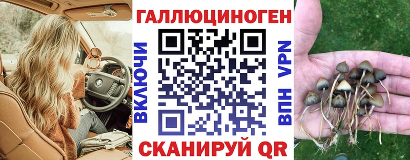 купить наркотики цена  Шахунья  Галлюциногенные грибы прущие грибы 